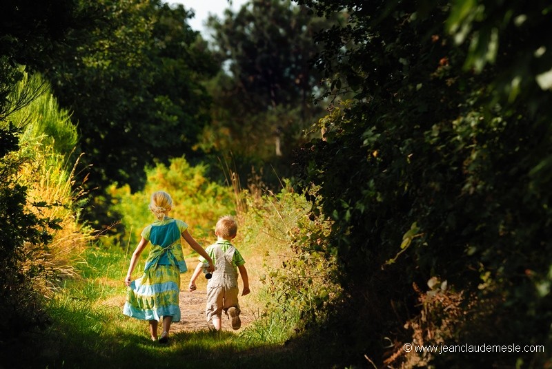 Les chemins de Brocéliande