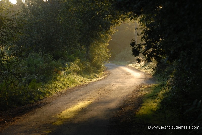 Les chemins de Brocéliande