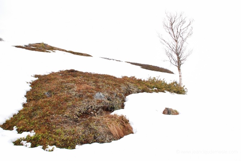 Finlande